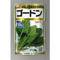 送料無料　[ほうれんそう]　ゴードン　100ml　(およそ5500粒)　(株)サカタのタネ　実咲PRO