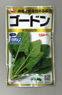 送料無料　[ほうれんそう]　ゴードン　100ml　(およそ5500粒)　(株)サカタのタネ　実咲PRO