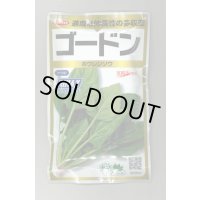 送料無料　[ほうれんそう]　ゴードン　100ml　(およそ5500粒)　(株)サカタのタネ　実咲PRO（101532）