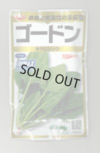 送料無料　[ほうれんそう]　ゴードン　100ml　(およそ5500粒)　(株)サカタのタネ　実咲PRO（101532）
