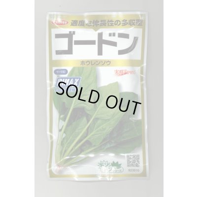 画像1: 送料無料　[ほうれんそう]　ゴードン　100ml　(およそ5500粒)　(株)サカタのタネ　実咲PRO（101532）