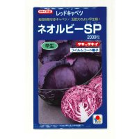 送料無料　[キャベツ]　ネオルビーSP　2000粒　タキイ種苗(株)