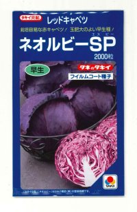 送料無料　[キャベツ]　ネオルビーSP　2000粒　タキイ種苗(株)