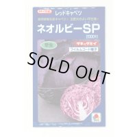 [キャベツ] ネオルビーSP 2000粒 タキイ種苗(株)