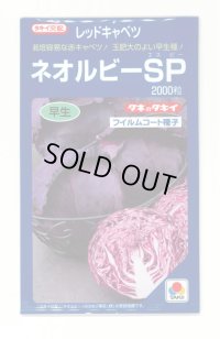 [キャベツ] ネオルビーSP 2000粒 タキイ種苗(株)