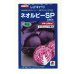 画像1: 送料無料　[キャベツ]　ネオルビーSP　2000粒　タキイ種苗(株) (1)