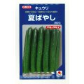 送料無料　[キュウリ]　夏ばやし　350粒　タキイ種苗
