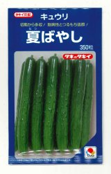 送料無料　[キュウリ]　夏ばやし　350粒　タキイ種苗