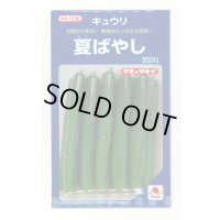 [キュウリ] 夏ばやし 350粒 タキイ種苗