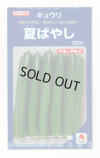 [キュウリ] 夏ばやし 350粒 タキイ種苗