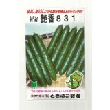 送料無料　[キュウリ]　艶香831　350粒　(株)ときわ研究場