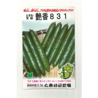 送料無料　[キュウリ]　艶香831　350粒　(株)ときわ研究場