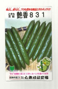 送料無料　[キュウリ]　艶香831　350粒　(株)ときわ研究場