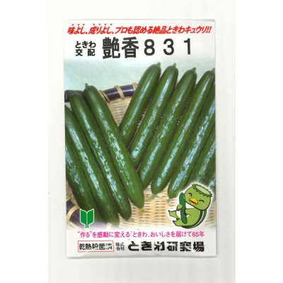 画像1: 送料無料　[キュウリ]　艶香831　350粒　(株)ときわ研究場
