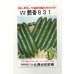 画像1: 送料無料　[キュウリ]　艶香831　350粒　(株)ときわ研究場 (1)