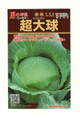 送料無料　[キャベツ]　超大球　1ml　トキタ種苗(株)