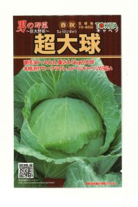 送料無料　[キャベツ]　超大球　1ml　トキタ種苗(株)