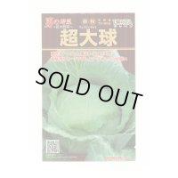 [キャベツ] 超大球 1ml トキタ種苗(株)