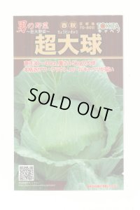 [キャベツ] 超大球 1ml トキタ種苗(株)