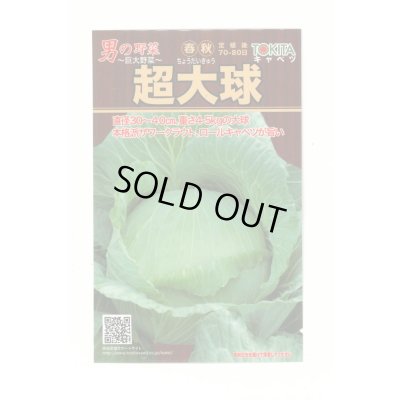 画像1: [キャベツ] 超大球 1ml トキタ種苗(株)