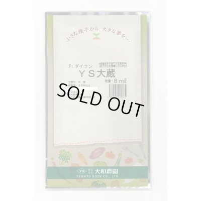 画像1: 送料無料　[大根]　ＹＳ大蔵大根　5ml　(およそ280粒)　（株）大和農園