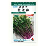 送料無料　[葉物]　水菜　紅法師　5ml　タキイ種苗(株)GF