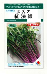 送料無料　水菜　紅法師　5ml　タキイ種苗(株)GF