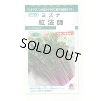 水菜 紅法師 5ml タキイ種苗(株)GF