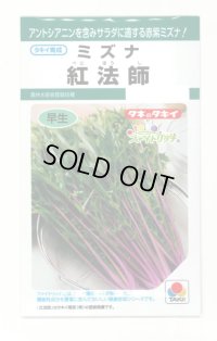 水菜 紅法師 5ml タキイ種苗(株)GF