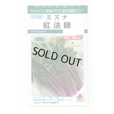 画像1: 水菜 紅法師 5ml タキイ種苗(株)GF