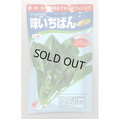 画像1: [ほうれんそう]　送料無料　味いちばんプレミアム3　1dL　渡辺農事（株）
