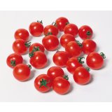 送料無料　[トマト/ミニトマト]　キャロルスター　1000粒　(株)サカタのタネ