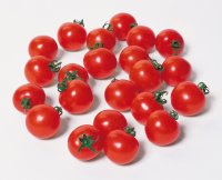 送料無料　[トマト/ミニトマト]　キャロルスター　1000粒　(株)サカタのタネ