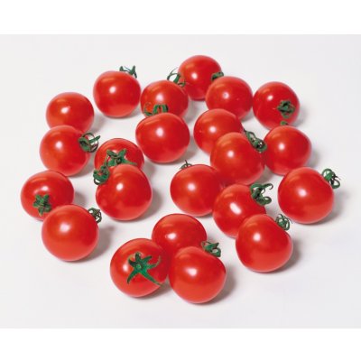 画像1: 送料無料　[トマト/ミニトマト]　キャロルスター　1000粒　(株)サカタのタネ