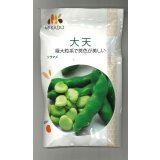 送料無料　[そら豆]　大天　23粒　ヴィルモランみかど（株）