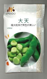 送料無料　[そら豆]　大天　23粒　ヴィルモランみかど（株）