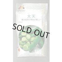 送料無料　[そら豆]　大天　23粒　ヴィルモランみかど（株）