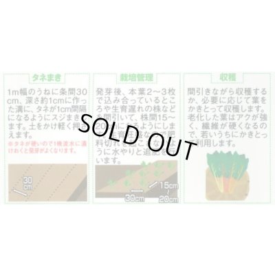 画像2: アイデアル(スイスチャード) 20ml (株)サカタのタネ