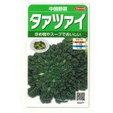 送料無料　タアツアイ　約940粒　（株）サカタのタネ　実咲250（003000）