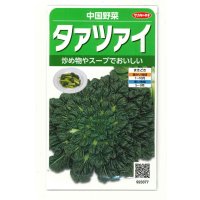 送料無料　タアツアイ　約940粒　（株）サカタのタネ　実咲250（003000）