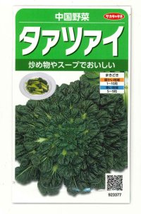 送料無料　タアツアイ　約940粒　（株）サカタのタネ　実咲250（003000）