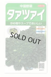 送料無料　タアツアイ　約940粒　（株）サカタのタネ　実咲250（003000）