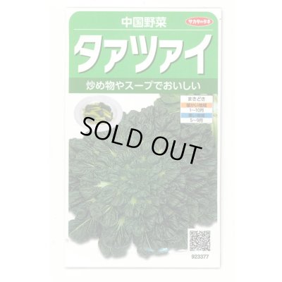 画像1: 送料無料　タアツアイ　約940粒　（株）サカタのタネ　実咲250（003000）