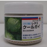 [レタス]　クールガイ　ペレット5千粒　タキイ種苗(株)