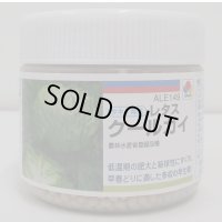 [レタス]　クールガイ　ペレット5千粒　タキイ種苗(株)