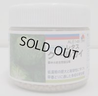 [レタス]　クールガイ　ペレット5千粒　タキイ種苗(株)