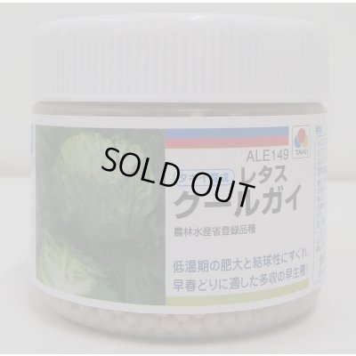 画像1: [レタス]　クールガイ　ペレット5千粒　タキイ種苗(株)