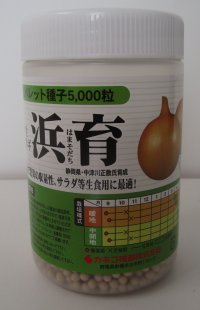 [たまねぎ]　浜育　ペレット5千粒　カネコ種苗（株）