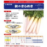 送料無料　大根　秋のきらめき　コート5千粒　渡辺農事（株）