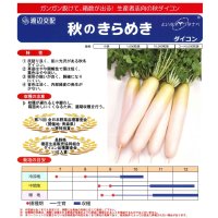 送料無料　大根　秋のきらめき　コート5千粒　渡辺農事（株）